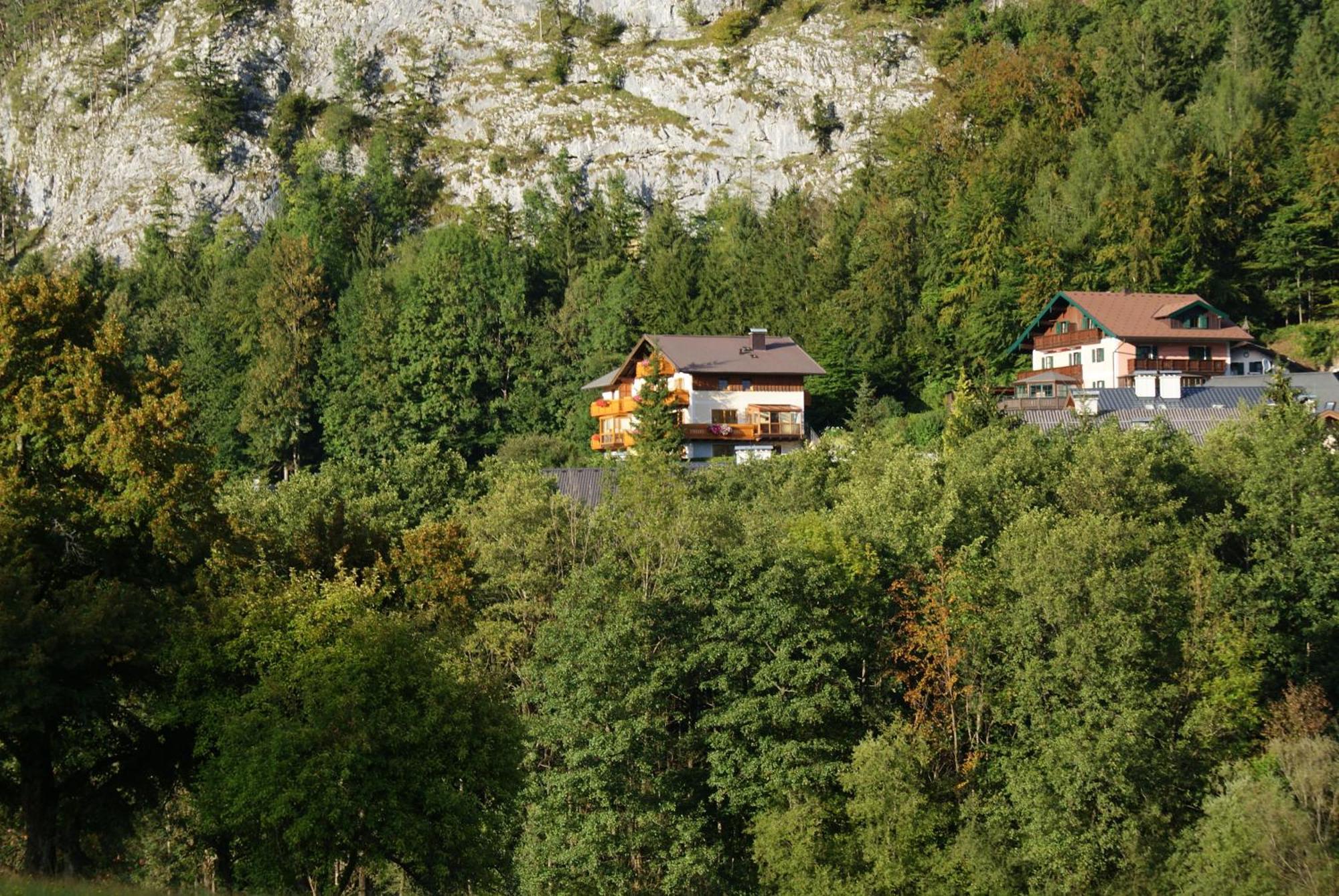 Haus Meissnitzer Fuschl am See Extérieur photo